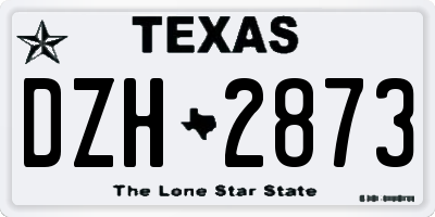 TX license plate DZH2873