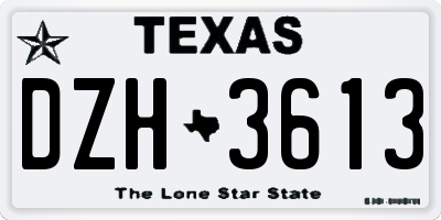 TX license plate DZH3613