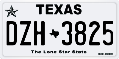 TX license plate DZH3825