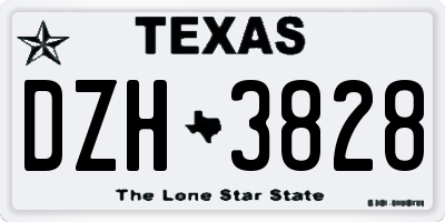 TX license plate DZH3828