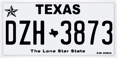 TX license plate DZH3873