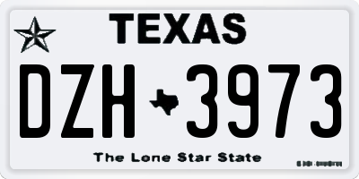 TX license plate DZH3973