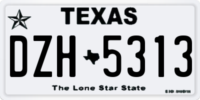 TX license plate DZH5313
