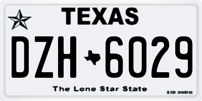 TX license plate DZH6029