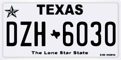 TX license plate DZH6030