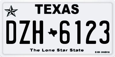 TX license plate DZH6123