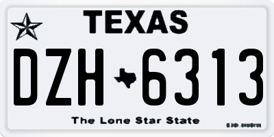 TX license plate DZH6313