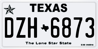 TX license plate DZH6873