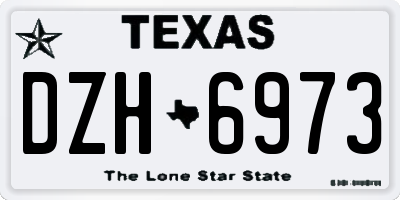 TX license plate DZH6973