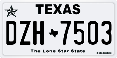 TX license plate DZH7503