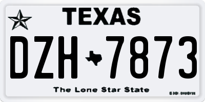 TX license plate DZH7873