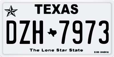 TX license plate DZH7973