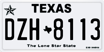 TX license plate DZH8113