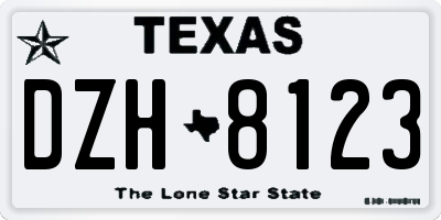 TX license plate DZH8123