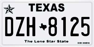 TX license plate DZH8125