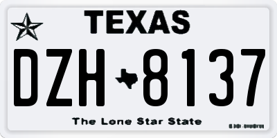 TX license plate DZH8137