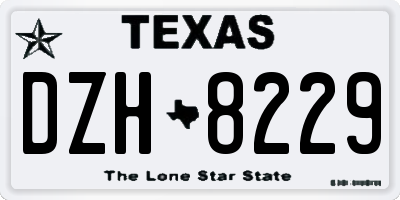 TX license plate DZH8229