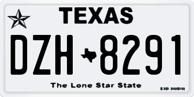 TX license plate DZH8291