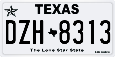 TX license plate DZH8313