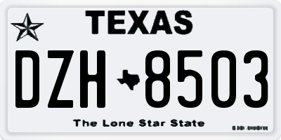 TX license plate DZH8503