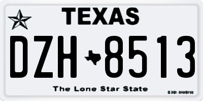 TX license plate DZH8513
