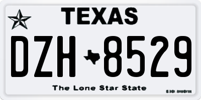 TX license plate DZH8529