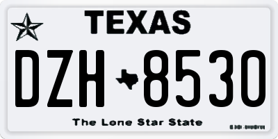 TX license plate DZH8530