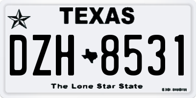 TX license plate DZH8531