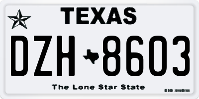 TX license plate DZH8603