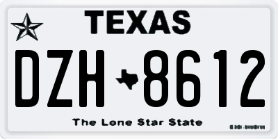 TX license plate DZH8612