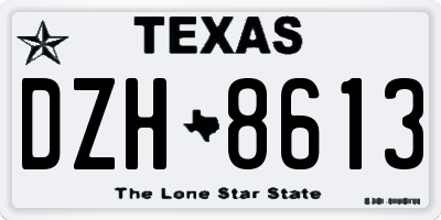 TX license plate DZH8613