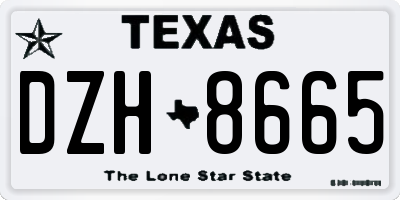 TX license plate DZH8665