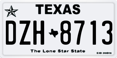 TX license plate DZH8713