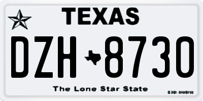 TX license plate DZH8730