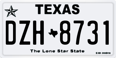 TX license plate DZH8731
