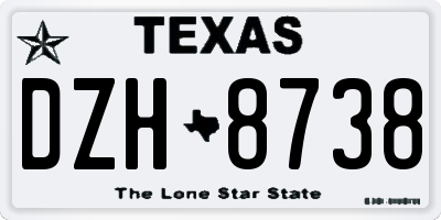 TX license plate DZH8738