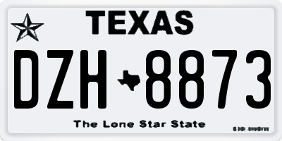 TX license plate DZH8873