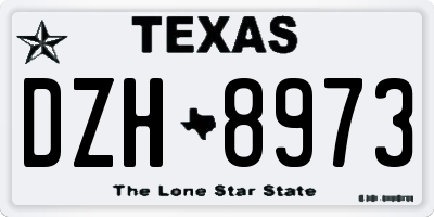TX license plate DZH8973