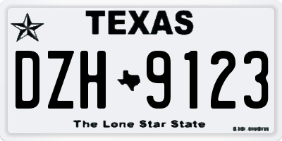 TX license plate DZH9123