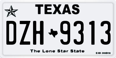 TX license plate DZH9313