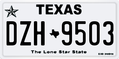 TX license plate DZH9503