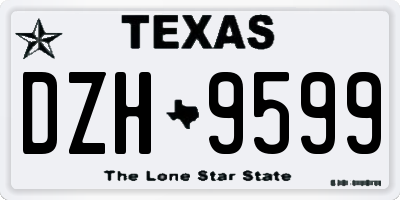 TX license plate DZH9599