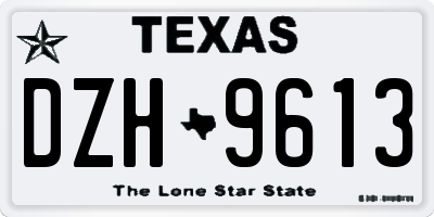 TX license plate DZH9613