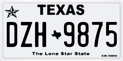 TX license plate DZH9875