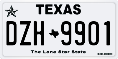 TX license plate DZH9901