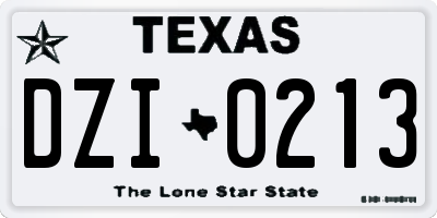 TX license plate DZI0213