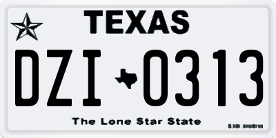 TX license plate DZI0313