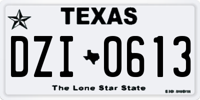 TX license plate DZI0613