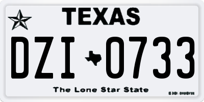 TX license plate DZI0733