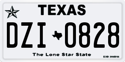 TX license plate DZI0828